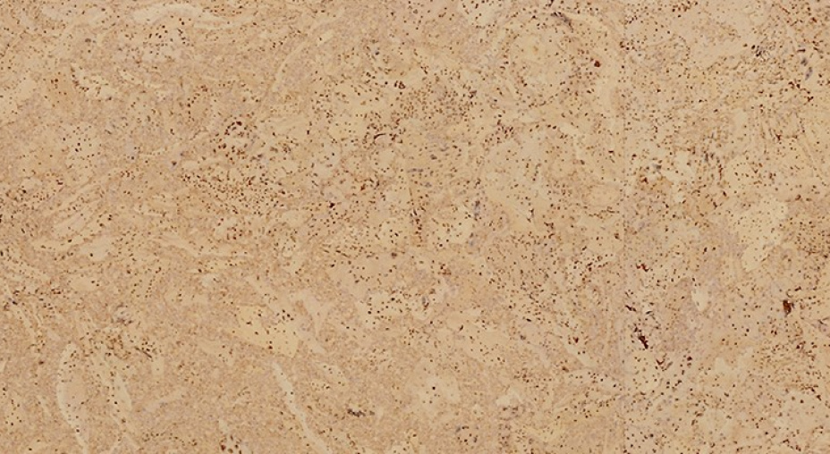 Клеевой пробковый пол Madeira Sand фото