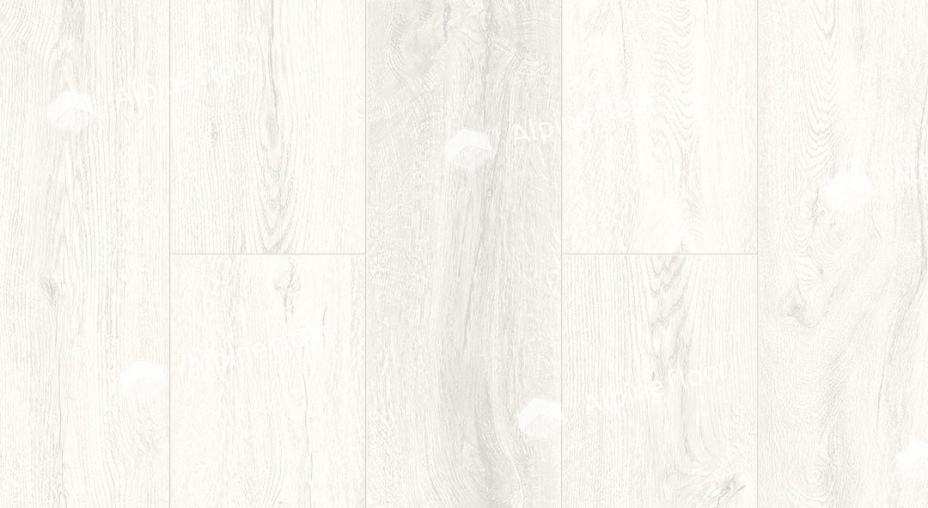SPC ламинат ЕСО 9-9 Белый Лес Alpine Floor INTENSE фото
